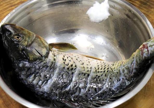 鱼引发美食热潮食客纷纷点赞pg电子模拟器试玩四川豆瓣(图2)