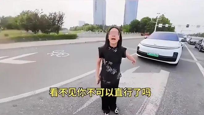 ：女司机气到流产公布完整行车记录仪pg模拟器河北女司机与骑手冲突后续(图8)